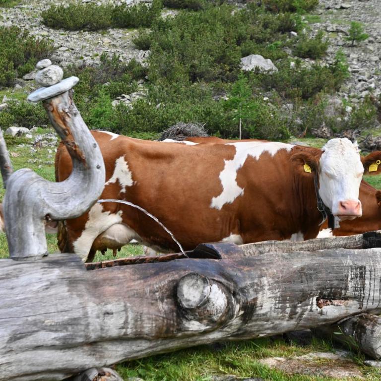 Agriturismo Bosco d'oro Livigno - Appartamento con 2 Camere da Letto - 11