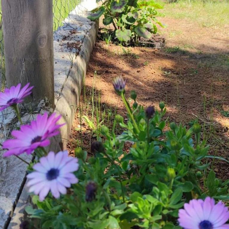 Cabañas Pinos del Mar - Chalet de 2 dormitorios - 26