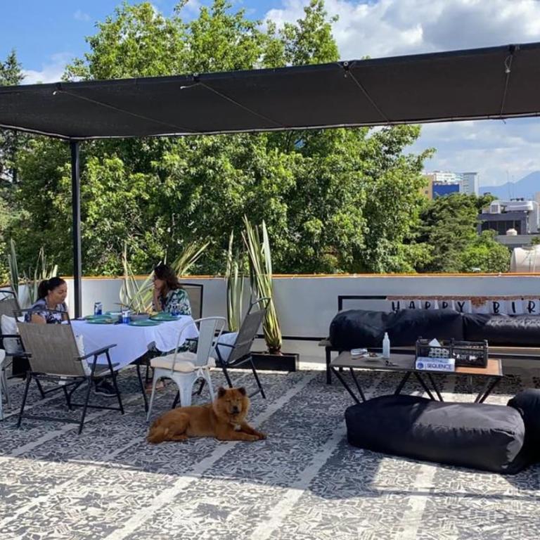 Corazón de México - Apartamento de 3 dormitorios - 29