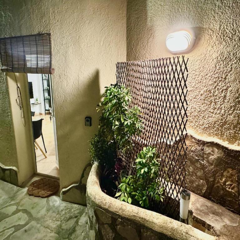 Nido de Mar entre Pinos - One-Bedroom Apartment - 15