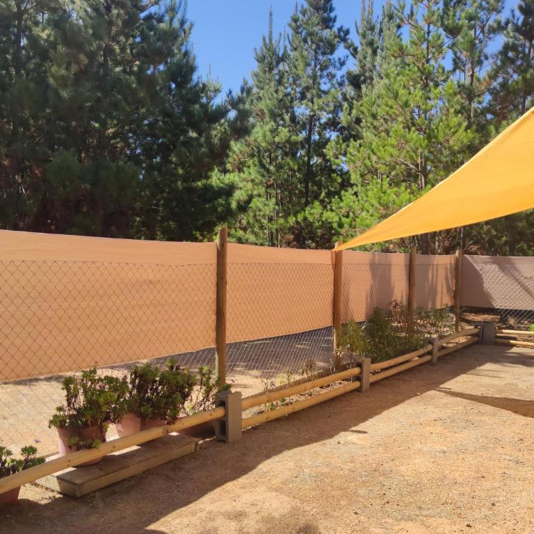 Cabañas Pinos del Mar - Chalet de 2 dormitorios - 19