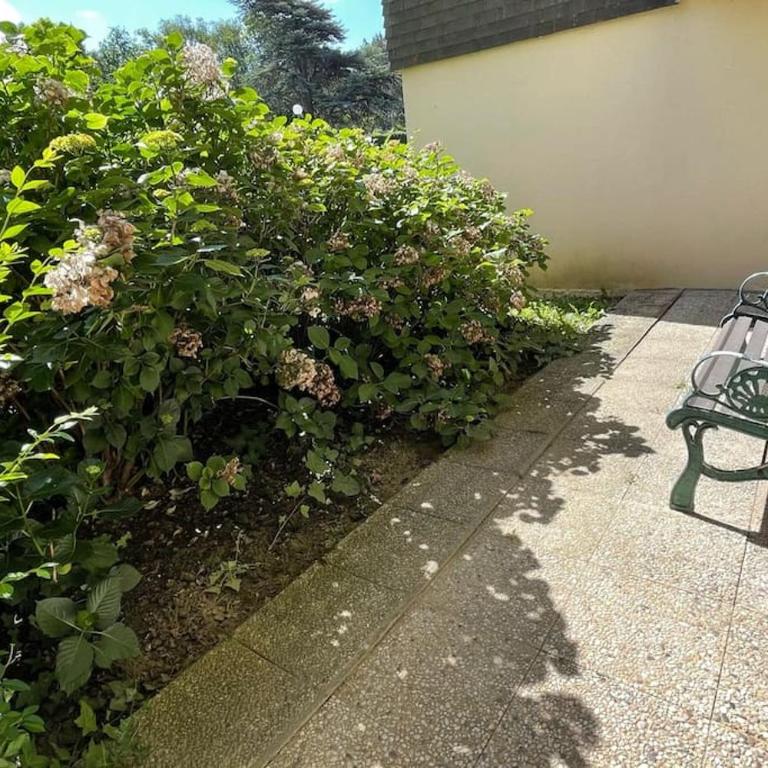 Superbe appartement avec vue mer - Appartement 2 Chambres - 14