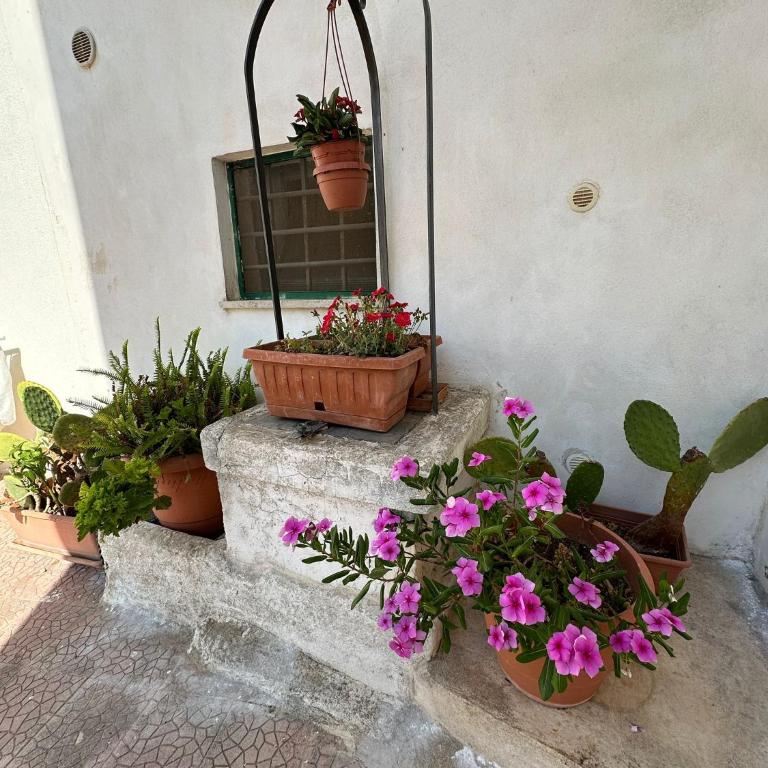 Casa Borgo Monte - Casa con 2 Camere da Letto - 11