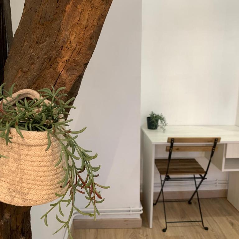 Precioso ático en Casco Viejo - Habitación Doble con baño privado externo - 10