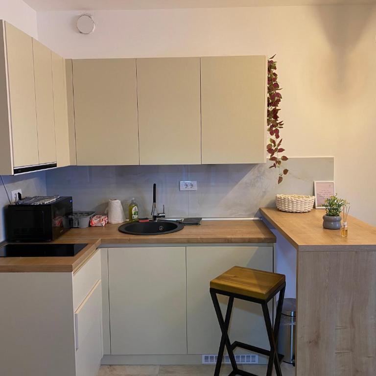 Apartman Šumarak - Studio Apartment with One Double Bed - 5