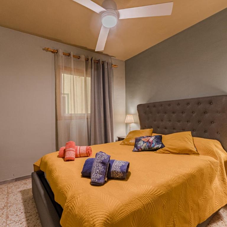 Emerald auténtic canary apartment - Apartamento de 1 dormitorio - 1