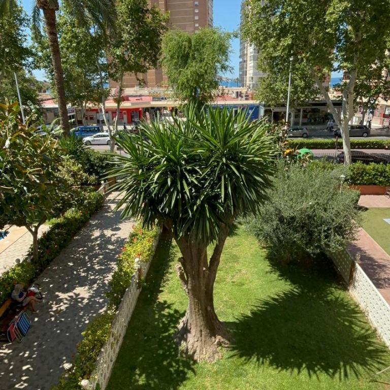 Luxury Family Levante Beach - Three-Bedroom Apartment - 3