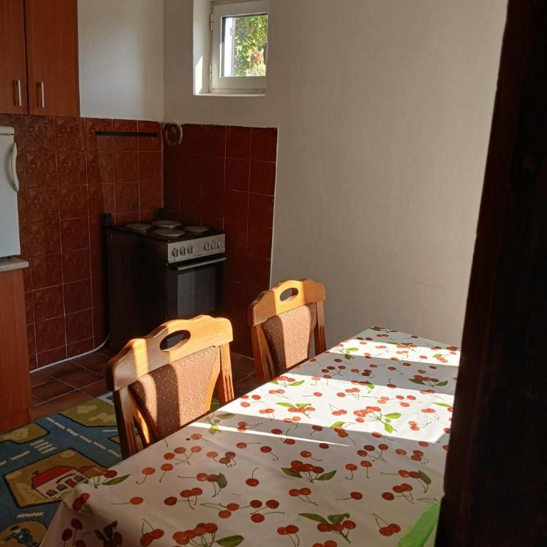 Apartman Ivana - Apartman sa 1 Spavaćom Sobom - 3