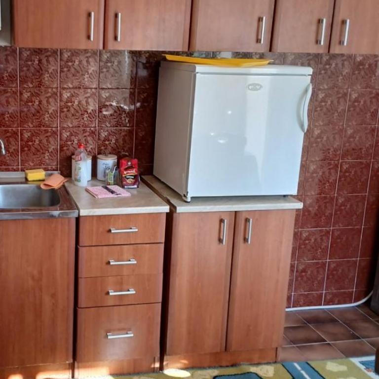 Apartman Ivana - Apartman sa 1 Spavaćom Sobom - 4