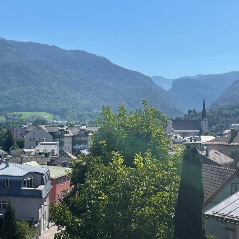 am Kalvarienberg Villenapartment & Hostel Bad Ischl - Apartment mit 2 Schlafzimmern - 11