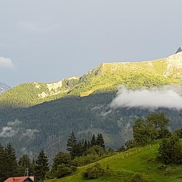 Ferienwohnung am Krausberghof mit Balkon und Parkplatz, 6 Fahrminuten zur Alpentherme Gastein und zur Schlossalmbahn - Apartment mit 2 Schlafzimmern - 18