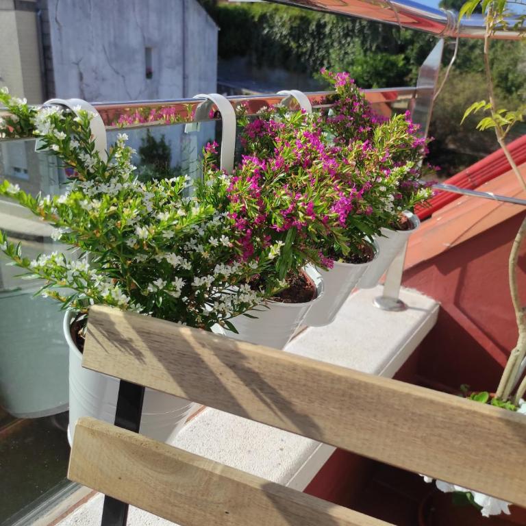 Apartamento Carril - Camiño do Carro - Apartamento de 1 dormitorio - 18