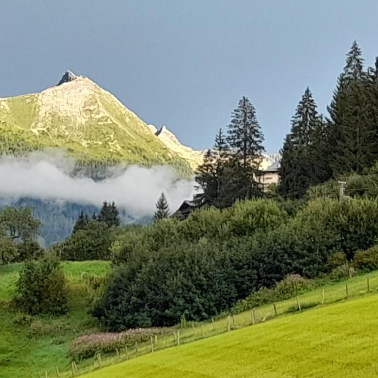 Ferienwohnung am Krausberghof mit Balkon und Parkplatz, 6 Fahrminuten zur Alpentherme Gastein und zur Schlossalmbahn - Apartment mit Balkon - 18