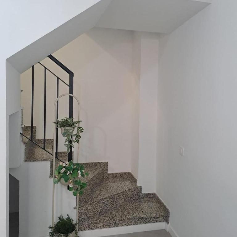 Apartamentos Jara Málaga Centro - 1A Dúplex - Apartamento de 2 dormitorios - 21