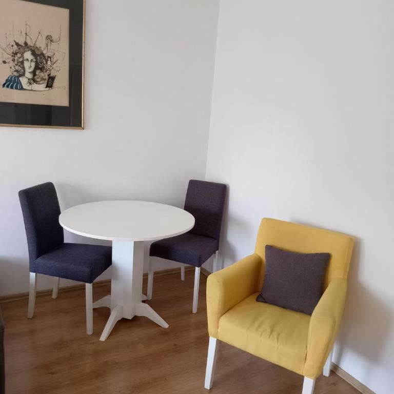 Tamara New Belgrade - Apartman sa Terasom - 4