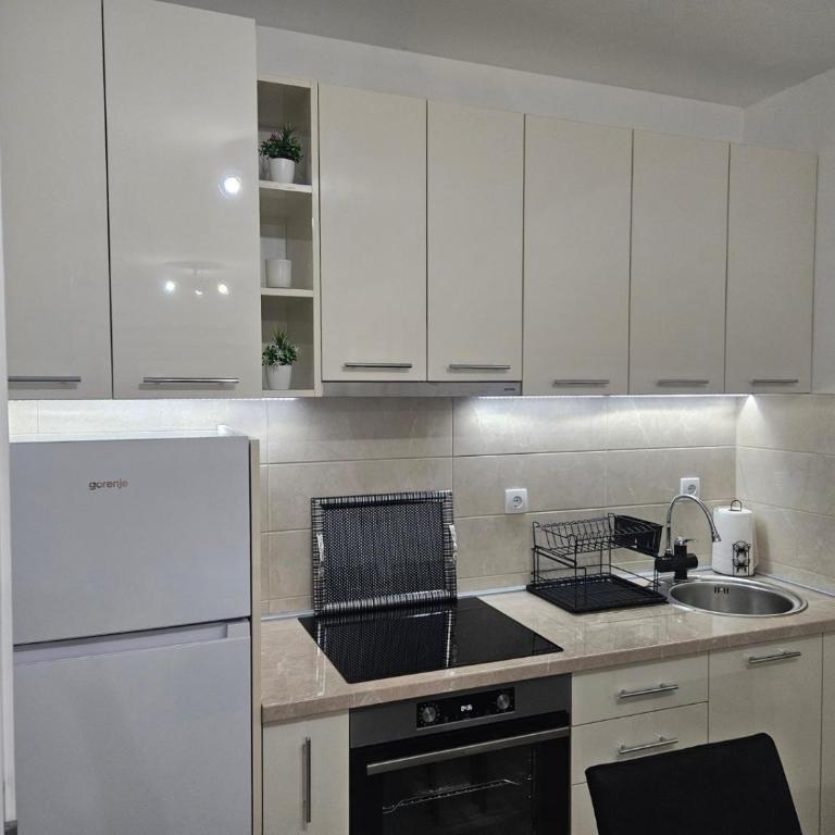 Apartman Ćurčić - Apartman sa 1 Spavaćom Sobom - 9