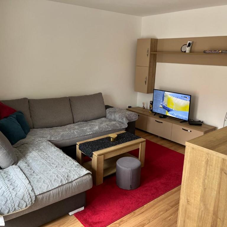 Apartman Plavsic - Apartman sa 1 Spavaćom Sobom - 1