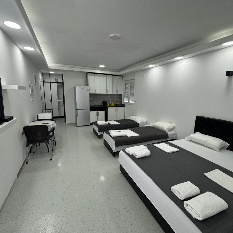 Apartmani MILIC - Apartman sa 1 Spavaćom Sobom - 3