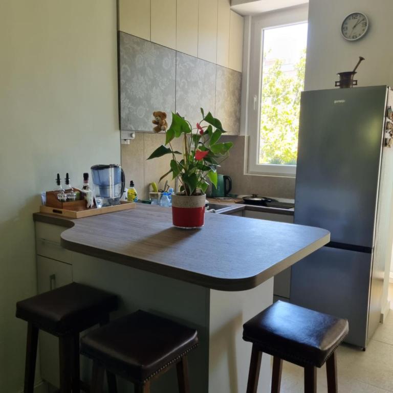 Old city - Apartman sa 1 Spavaćom Sobom - 2