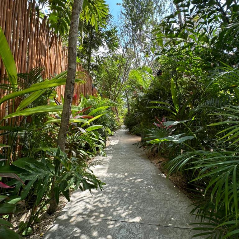 2 Private Pools & BBQ - Deluxe Villa - 49