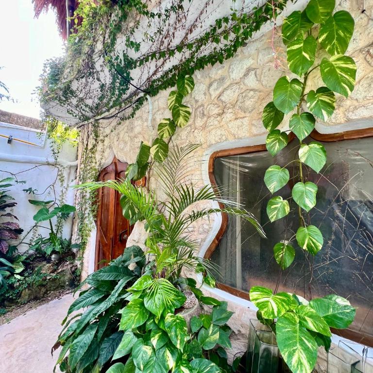 La Quinta Orquídea - Deluxe Room - 7
