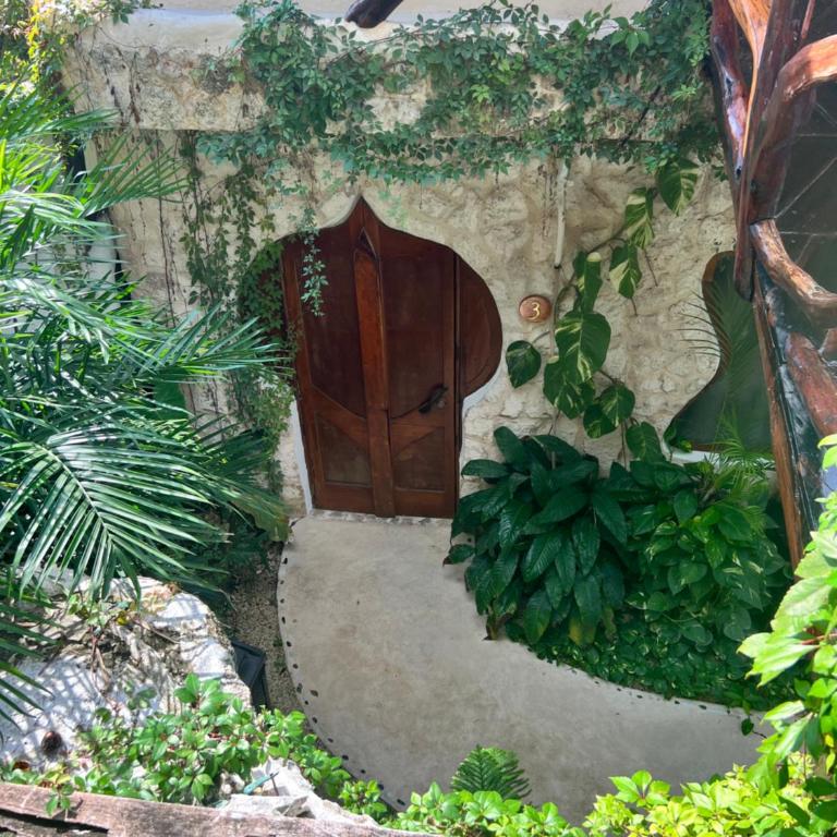 La Quinta Orquídea - Deluxe Room - 8