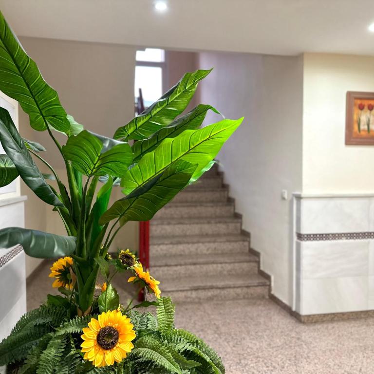 Studio in Costa Del Sol, Sea, Sunshine & Views - Apartment with Balcony - 34