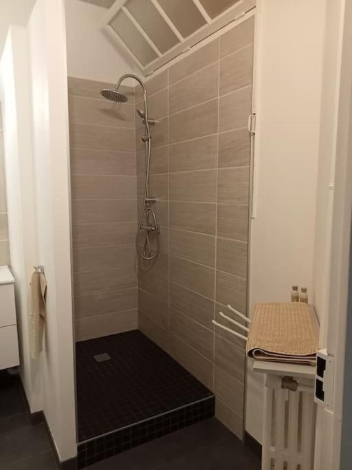 Le Petit Appart au coeur de Vichy - Appartement 2 Chambres - 20