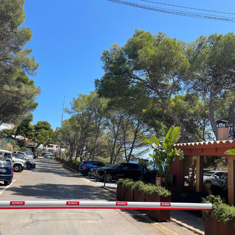El 66 de Cap Sa Sal - One-Bedroom Apartment - 8