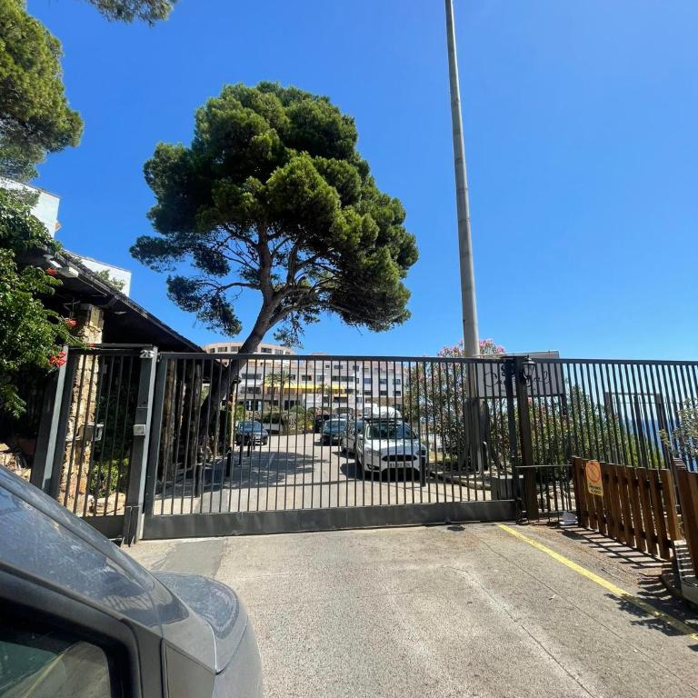 El 66 de Cap Sa Sal - One-Bedroom Apartment - 13