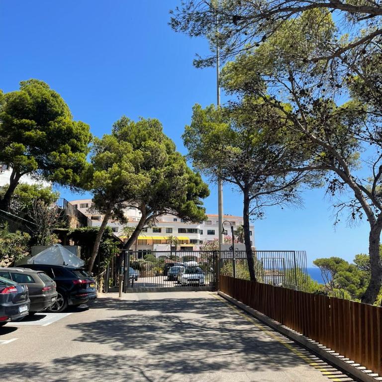 El 66 de Cap Sa Sal - One-Bedroom Apartment - 15