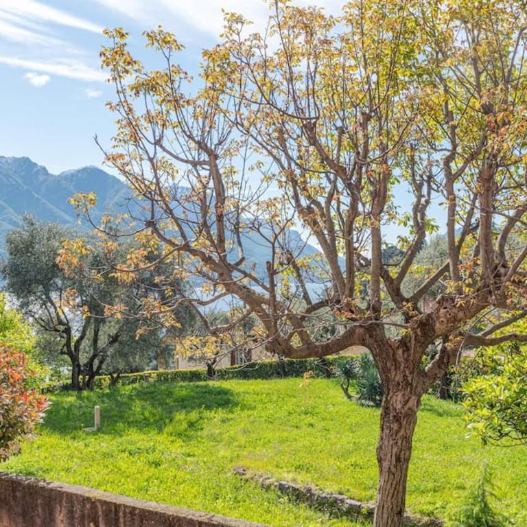 Cozy apartment with garden - Appartamento con 1 Camera da Letto - 19