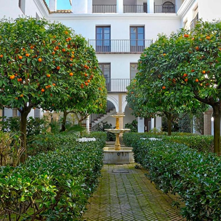 Alfaro Historic Aparment - Apartamento de 1 dormitorio - 1
