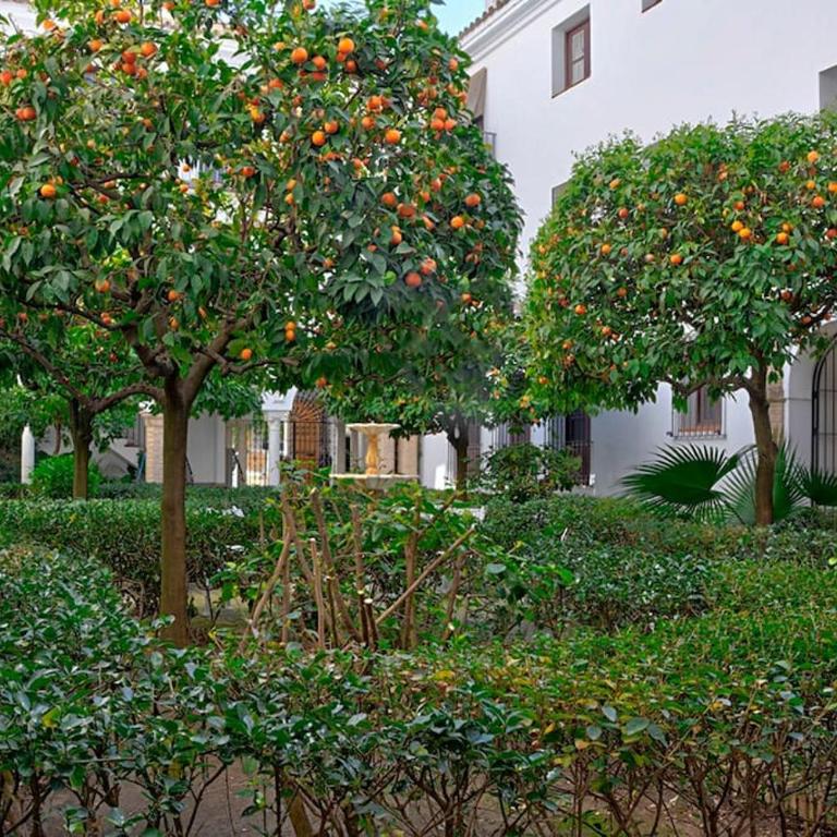 Alfaro Historic Aparment - Apartamento de 1 dormitorio - 9