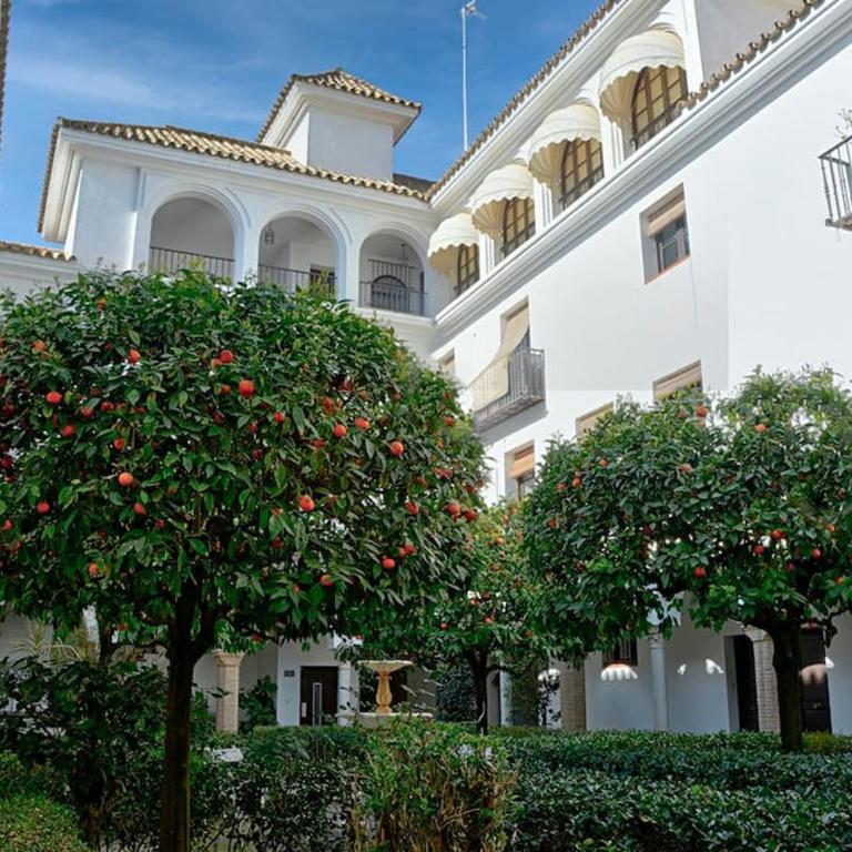 Alfaro Historic Aparment - Apartamento de 1 dormitorio - 19