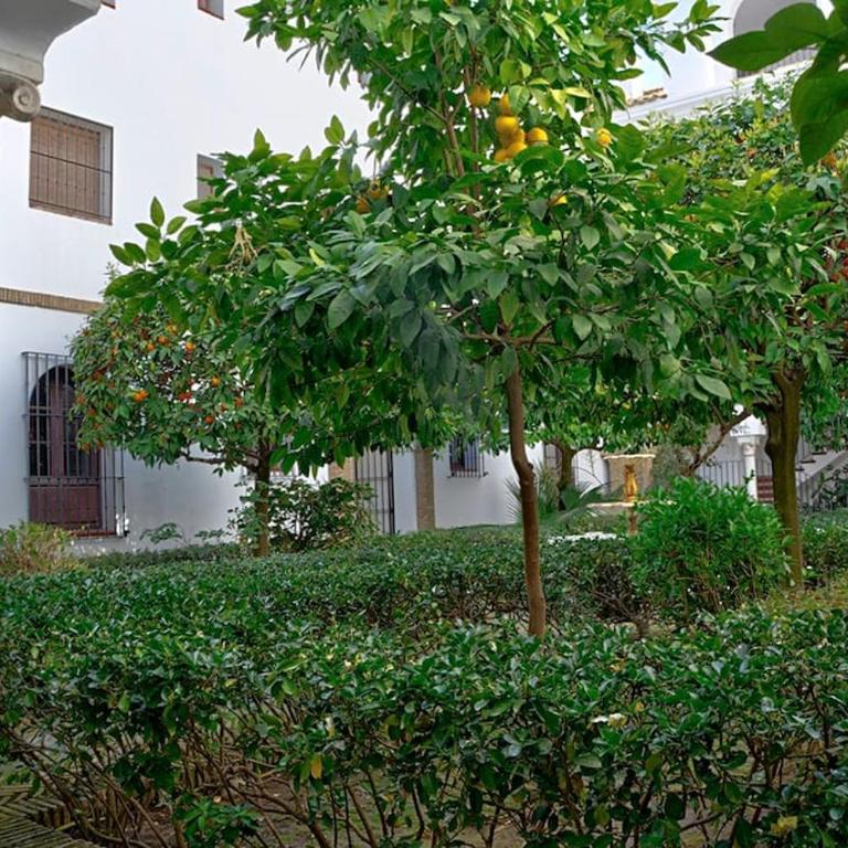 Alfaro Historic Aparment - Apartamento de 1 dormitorio - 30
