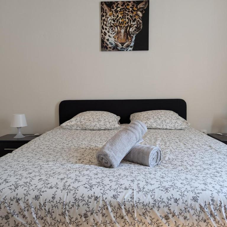 Le Mirage - appartement 2 chambres, salon, cuisine équipée, parking et wifi gratuit - Apartment mit 2 Schlafzimmern - 4