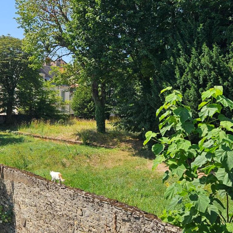 Hippolyte - Magnifique appartement en centre-ville - Appartamento con 1 Camera da Letto e Terrazza - 21