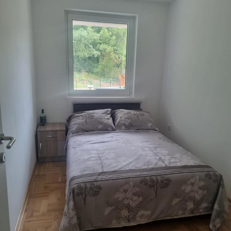 Apartman NIKA Vrnjačka Banja - Apartman sa 1 Spavaćom Sobom - 5