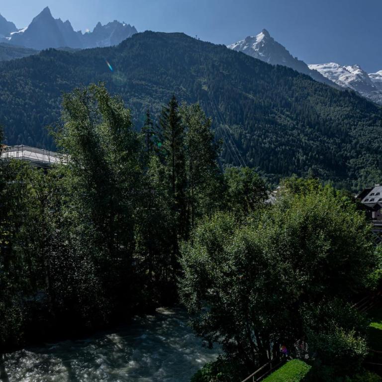 Coeur des Alpes - A spacious 3-bedroom apartment with spectacular views - Appartamento - 43