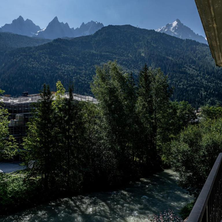Coeur des Alpes - A spacious 3-bedroom apartment with spectacular views - Appartamento - 46