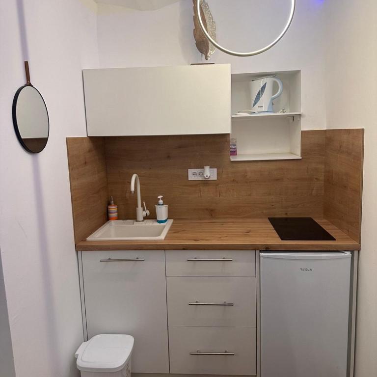 City Garden Studio Apartment in Belgrade - Apartman sa 1 Spavaćom Sobom - 8