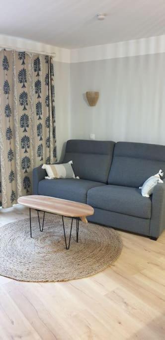 Bienvenue à l'Appart' ! - Appartement 1 Chambre - 20