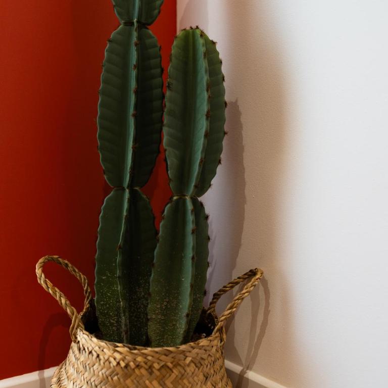 La Casa, Suite mexicaine d'exception à Saumur - Appartement 2 Chambres - 15