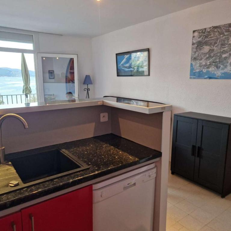Appartement lumineux pieds dans l'eau au Lavandou - FR-1-308-61 - Appartamento (4 Adulti) - 20