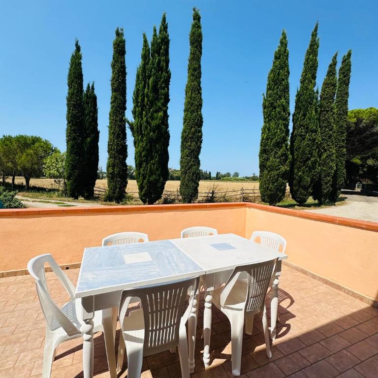Agriturismo Santa Maria - Appartamento con 1 Camera da Letto - 37