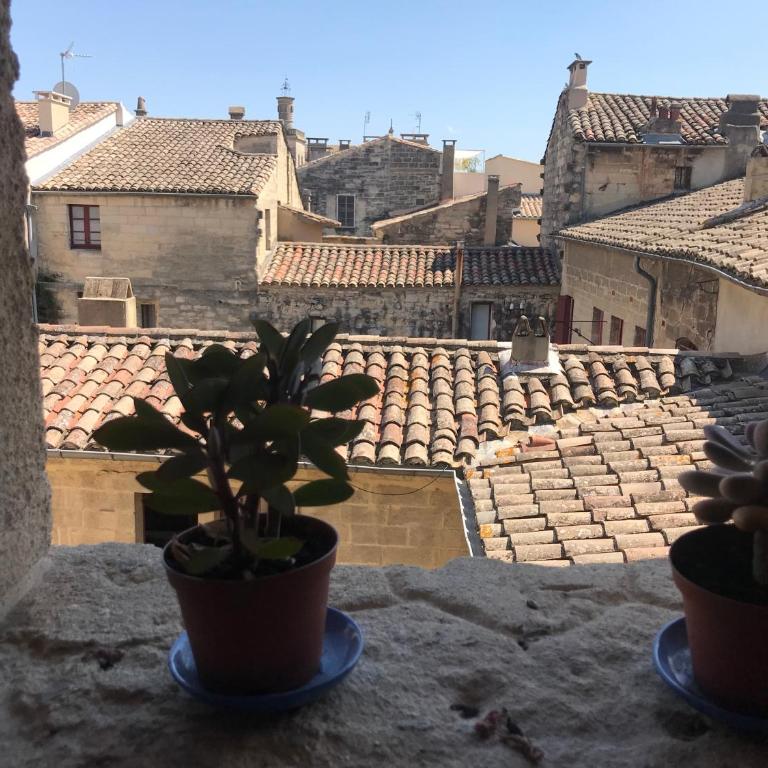 Le Joubert Hôtel Particulier - Appartement 1 Chambre - 12