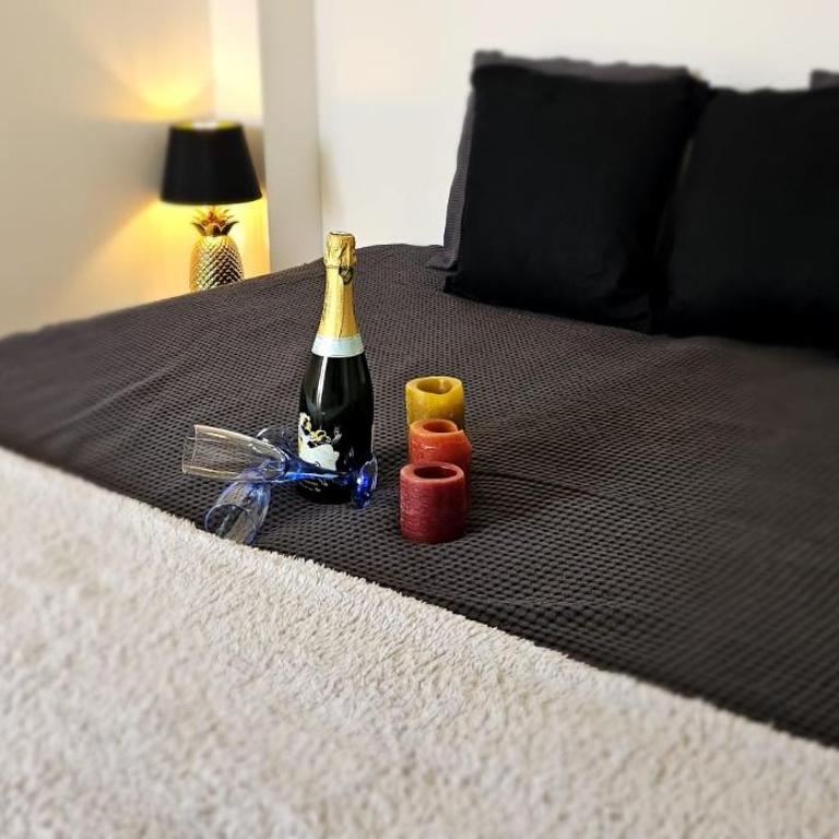 Cannes Beach Access, Private Room in Shared 3-Bedroom Apartment, Private Bathroom, Living Room with Sea View Suite Parentale salle de bain privée accès plages & vue mer du salon dans appartement partagé chez l'habitant - Chambre Double avec Salle de Bains Privative - 9