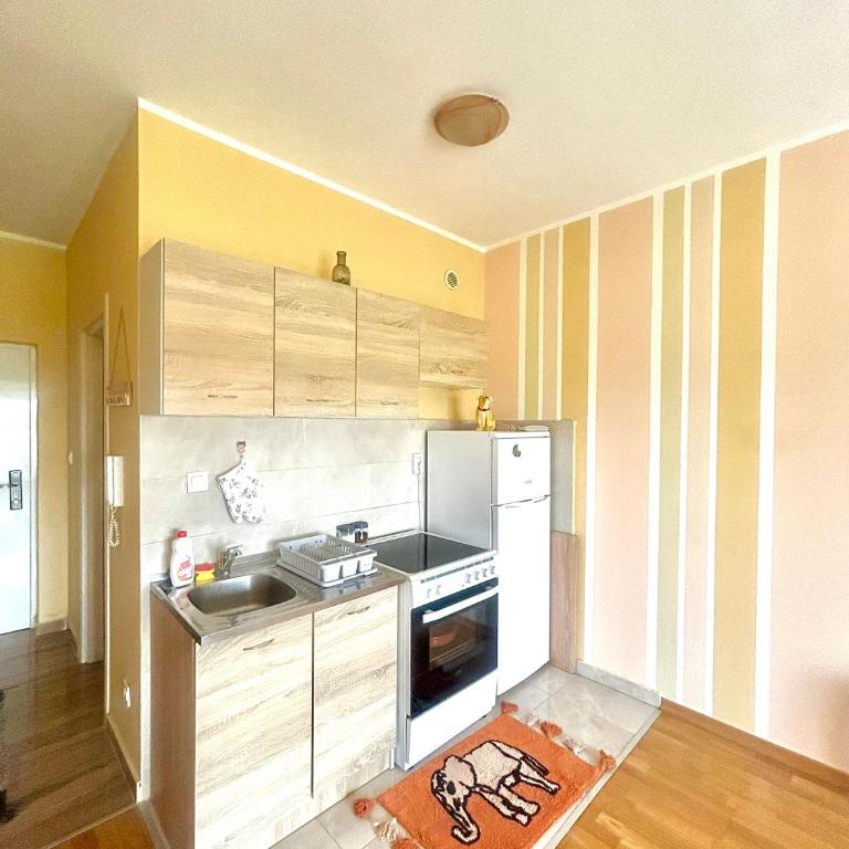 Charming studio - Apartman sa 1 Spavaćom Sobom - 3