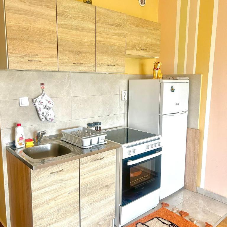 Charming studio - Apartman sa 1 Spavaćom Sobom - 2